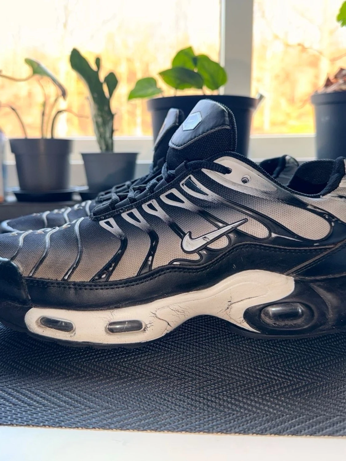Nike Air Max Plus svart/vit - 1
