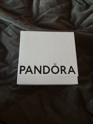 Vit presentask från Pandora - Säljer en stilren vit presentask från Pandora, perfekt för att ge bort smycken. Asken har Pandoras logga i svart på locket och insidan är fodrad med silkespapper. Medföljer gör ett rosa kort med texten 'Because you are special!'.