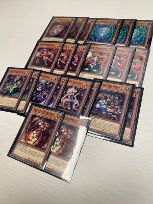 Traptrix Yu-Gi-Oh! Deck - Samling med Traptrix-monsterkort från Yu-Gi-Oh! Serien innehåller flera olika Traptrix-kort med färgstarka illustrationer och skyddande plastfickor. Perfekt för samlare eller duellanter som vill bygga en Traptrix-lek.