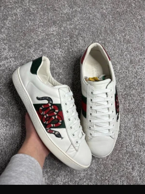 Gucci Ace snake - || Gucci ace snake || skick:9/10 || strl 41 (passar som 42/43) || Innermått: 27,2 cm || Pris: 2299 || Pris går att diskutera o byte är intressant || Det är bara o höra av dig vid minsta fråga elr intresse! ||