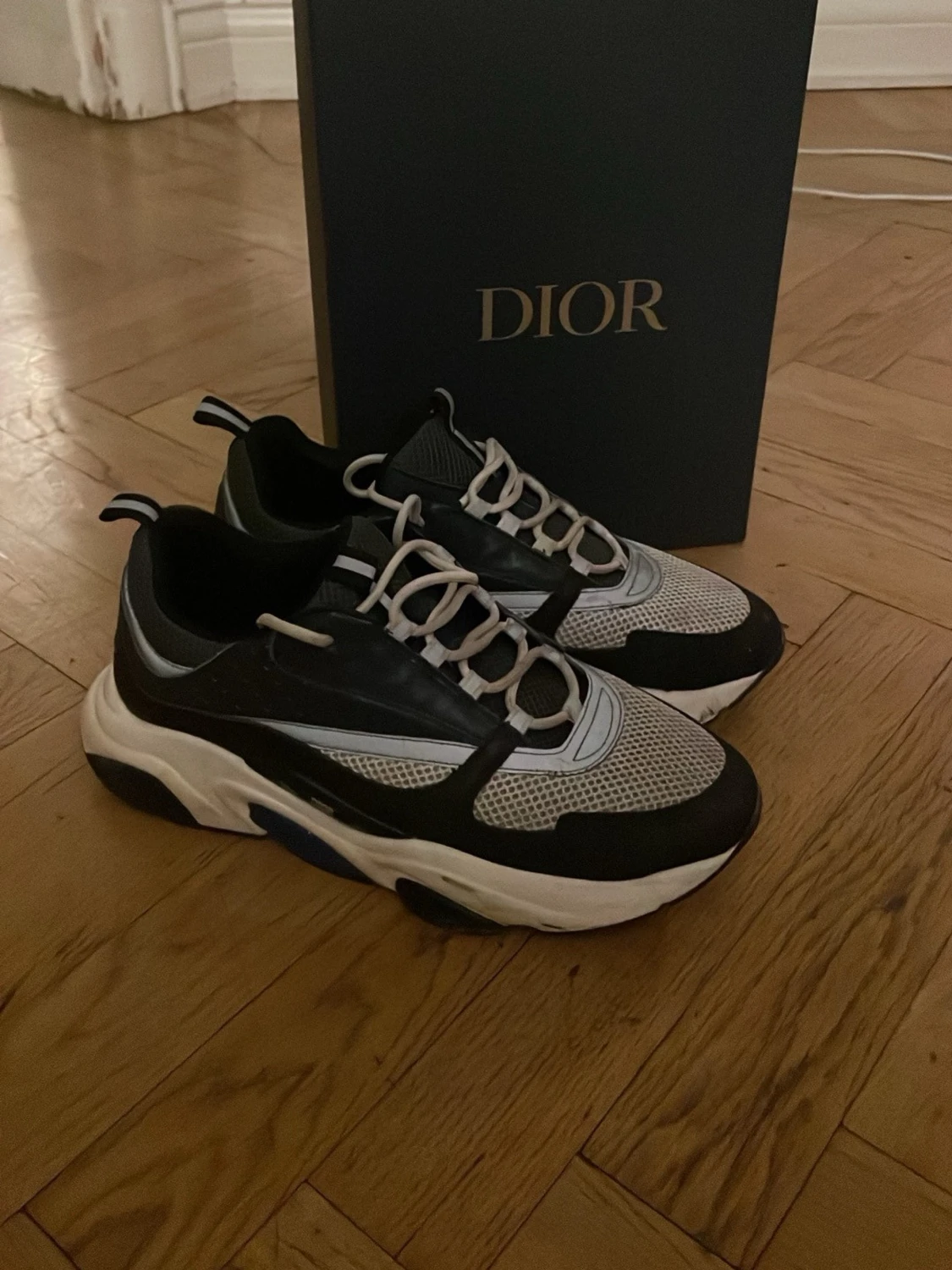Dior b22 skor - 2