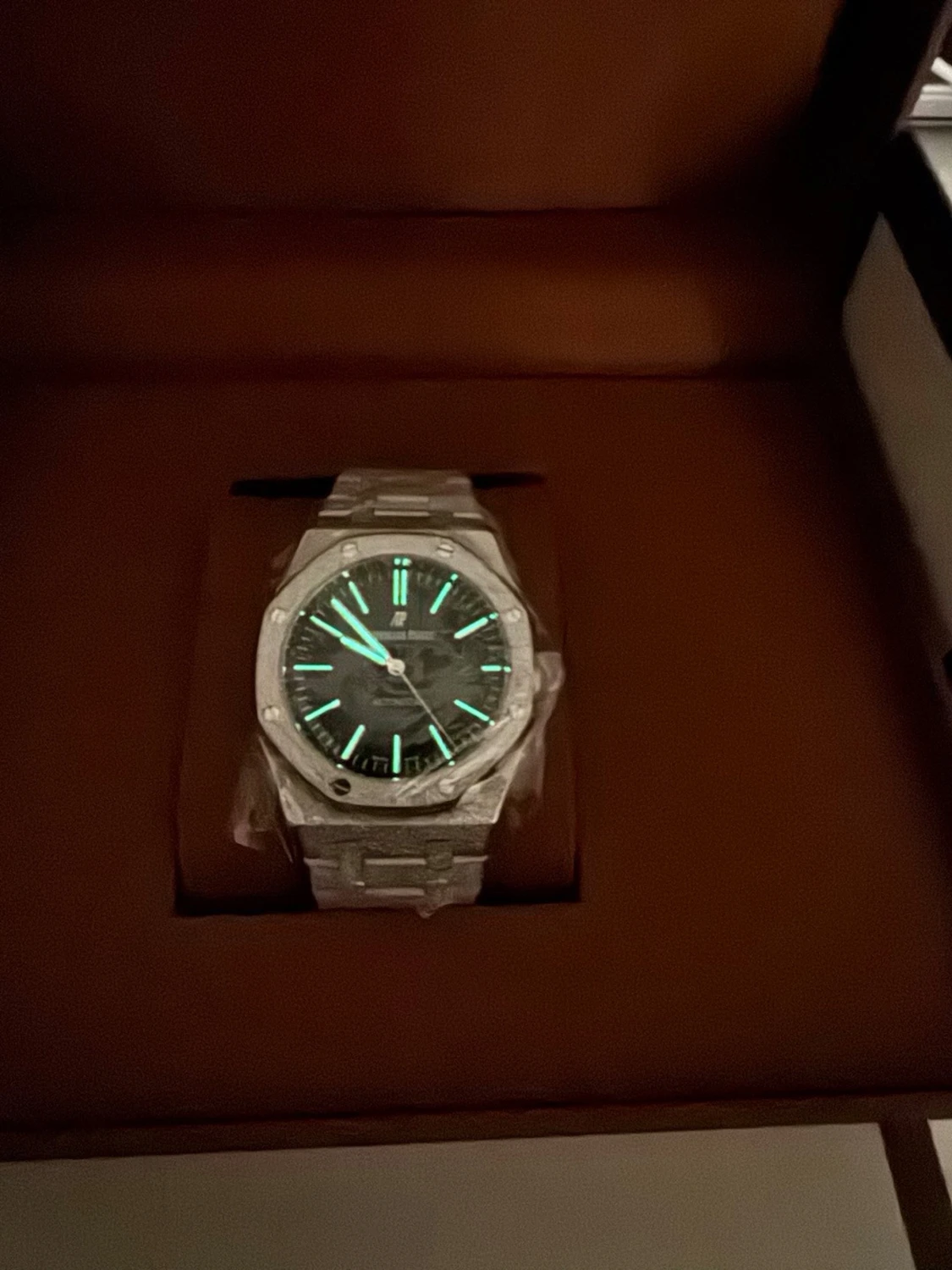 AP Royal Oak - 5