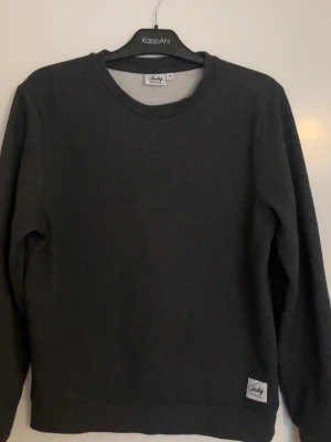 Mörkgrå sweatshirt  - En stilren mörkgrå sweatshirt med rund halsringning och lång ärm. Tröjan har en liten logga nertill på framsidan och är gjord i mjukt sweatshirtmaterial. Perfekt för en avslappnad och enkel look.