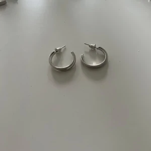 Silvriga chunky hoops örhängen - Säljer ett par stilrena silvriga hoops med chunky design. Örhängena är runda och har en klassisk, enkel look som passar till allt. De är i metall och har stift med plupp för enkel användning. Perfekta för dig som gillar minimalistiska smycken med lite edge.