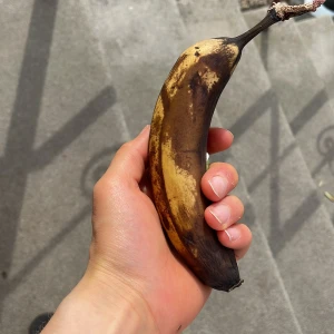 Banan med skal - En mogen banan med mörkbrunt och gult skal. Bananen har en böjd form och ett klistermärke på skalet som visar att den är ekologisk. Perfekt till dig som vill ha en elegant look
