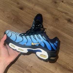Nike Air Max plus - Rikta fina tn blåa perfekt nu på sommaren. Skorna är äkta och köpta på footlocker. Storlek 45 men passar  44. Helt nya använda en gång bara utomlands