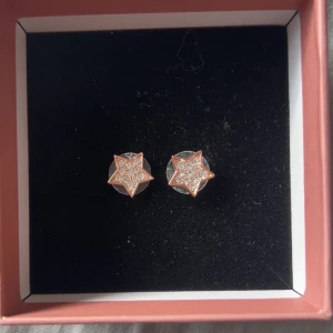 Stjärnformade örhängen med strass - Supersöta örhängen i form av stjärnor med glittrande stenar. Roséguldfärgad kant och massor av små vita stenar som ger en riktigt glittrig look. 