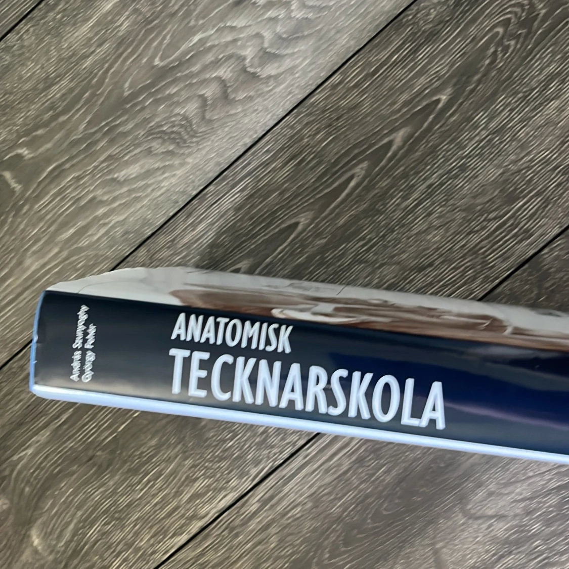 Anatomisk Tecknarskola: Människa • Djur • Jämförande Anatomi - 2