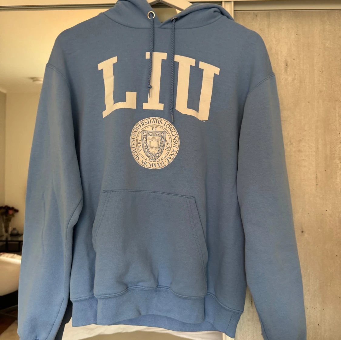 Blå Champion LIU hoodie med tryck - 1