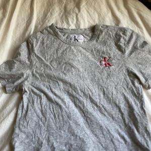 Grå t-shirt - Jättebra skick. Grå med rött märke.