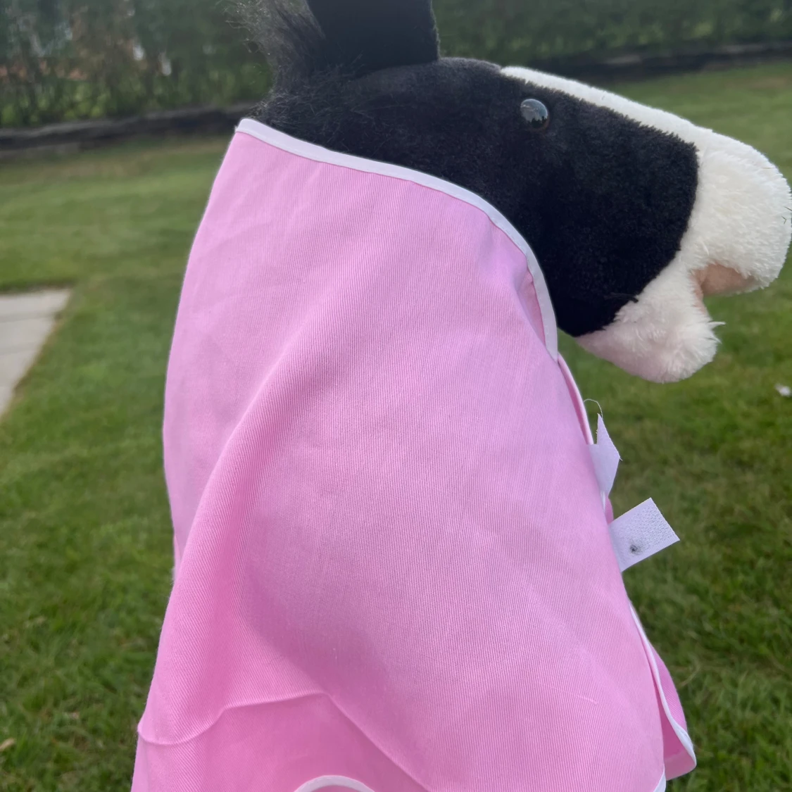 Rosa käpphästtäcke. - 1