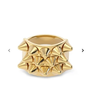 Edblad ring och örhängen  - Guldiga örhängen med matchande ring ifrån Edblad. Använd fåtal gånger och tvättas noga innan köp. De är i rostfritt stål och nickelfria. Nypris för båda är 800kr. Ringen är i storlek L.