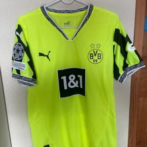 Borussia Dortmund Brandt tröja Puma M - Borussia Dortmund matchtröja med Brandt 10 på ryggen. Neon-gul med svarta detaljer och mönstrade ärmar, officiella loggor och sponsortryck. Tillverkad i lätt och ventilerande polyester, perfekt för fotboll eller att bära på läktaren.