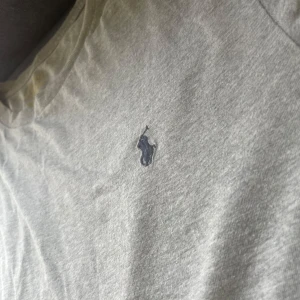 Grå t-shirt från Polo Ralph Lauren  - Snygg grå t-shirt från Polo Ralph Lauren med klassisk broderad logga på bröstet. T-shirten är i mjuk bomull och har en enkel, stilren design med rund hals och korta ärmar. Perfekt för en clean och avslappnad look. Rekommenderas starkt