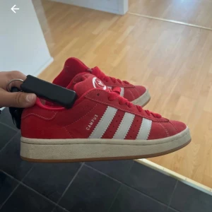 Röda Adidas Campus sneakers - Säljer ett par röda Adidas Campus sneakers med vita ränder och logga på plösen. Skorna har snörning och en klassisk gummisula. Ovandelen är i mocka och de har en låg profil som passar till många stilar. Använda 3 ggr