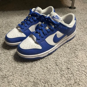 Nike Dunk Low Kentucky  - Nästan helt nya använda ett par gånger, nypris runt 1500. Storlek 40