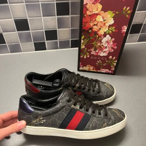 Gucci ace s - Box ingår, pris går diskuteras vid snabb affär 