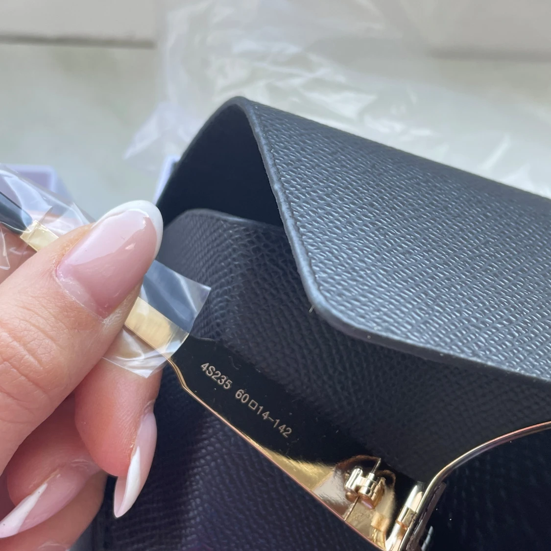 Celine triumf 01 - 2