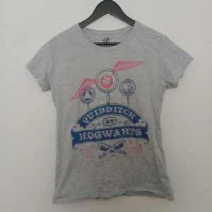 Grå Harry Potter Quidditch t-shirt - Grå t-shirt med tryck av Quidditch-motiv och texten 'Quidditch at Hogwarts' i blått och rosa. Rund halsringning och korta ärmar. Perfekt för alla Harry Potter-fans som vill visa sin kärlek till Hogwarts.