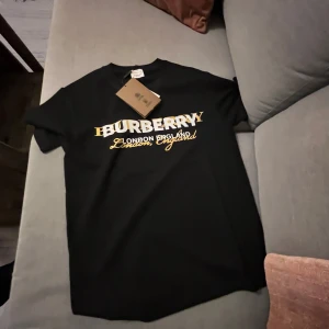 Svart t-shirt  - Säljer en svart t-shirt Klassisk rund hals och korta ärmar. Perfekt för dig som gillar exklusiva märken och stilren design. Passar M och S