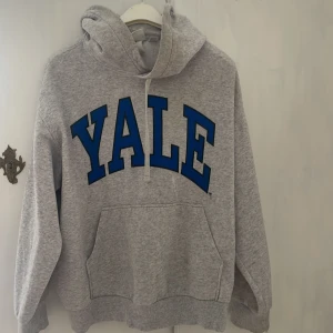 Grå hoodie med YALE-tryck från H&M - Säljer en grå hoodie från H&M med stort blått YALE-tryck på bröstet. Tröjan har huva med dragsko och en stor magficka. 