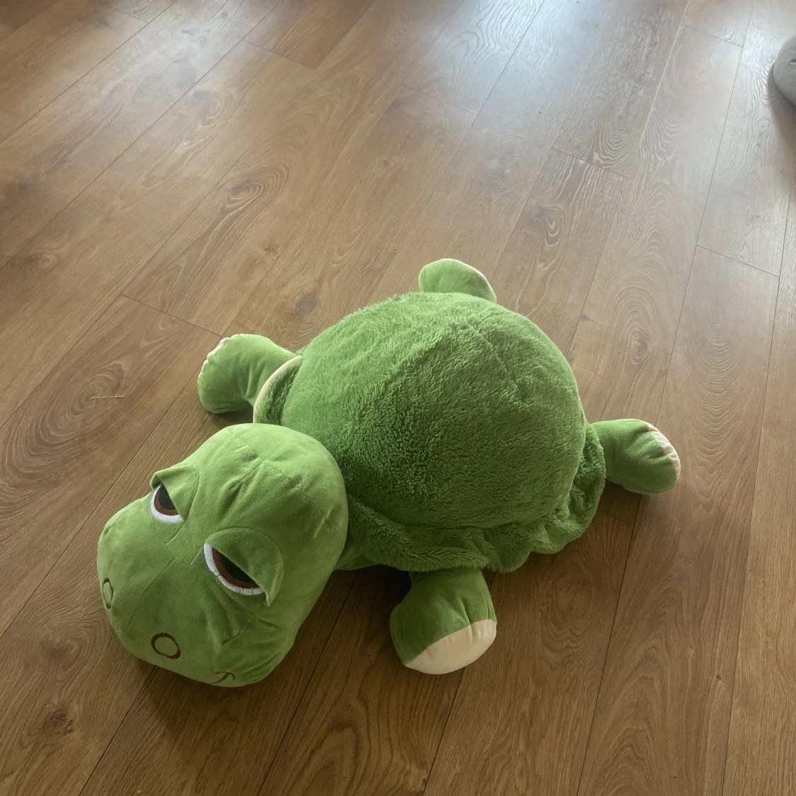 Stor grön sköldpaddsmjukis - 1