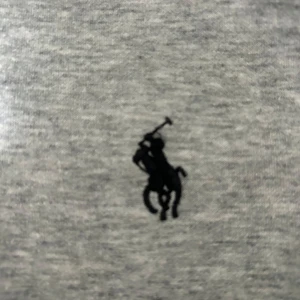 Grå hoodie från Ralph Lauren - Säljer en stilren grå hoodie från Ralph Lauren med dragkedja och det klassiska logotypen på bröstet. Perfekt för en avslappnad look. Den har långa ärmar och en bekväm passform.