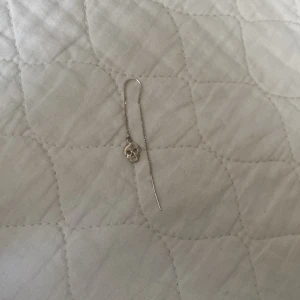 Silverfärgat örhänge med dödskalle - Snyggt silverfärgat örhänge med en liten dödskalle som detalj. Örhänget har en lång kedja som träs genom örat. Från Lotta Hasselblad.