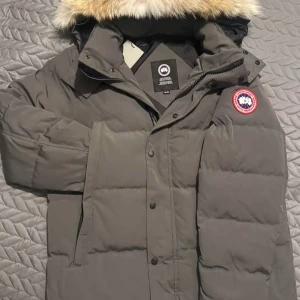 Grå dunjacka med pälsdetalj - Säljer en stilren grå dunjacka från Canada Goose med en avtagbar huva kantad med päls. Jackan har en dragkedja och knappar framtill samt en ikonisk logga på ärmen. Perfekt för kalla vinterdagar.