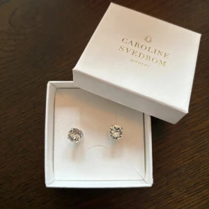 Silverfärgade örhängen med stenar från Caroline Svedbom - Säljer ett par stilrena silverfärgade örhängen från Caroline Svedbom. Aldrig använda!
