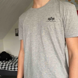  - Grå T-shirt från alpha industries. Använd max två gånger och i nyskick!  Jag säljer den för 150kr inklusive frakt.