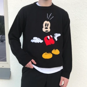 Vintage mösse pig  - Säljer denna abstrakta mössepig tröjan. Den har en super fin oversize fit!