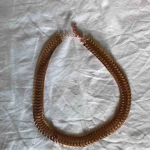  - Fint roséguldigt halsband som aldrig är använt. Pris inkl frakt är 20kr 💗⚡️ kolla gärna in min sida, säljer väldigt myxket från 10-100 kr👍🏼 SAMFRAKTAR Även!!