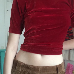 Sammets tröja  - En tröja jag sydde själv i sammet! den är välgjord då jag kan mycket om att sy :) jätte mysigt material vet verkligen inte varför jag inte har på mig den hade helt glömt att den fanns :/ passar både XS och S <3 (första bilden ger mest accurate färg) 