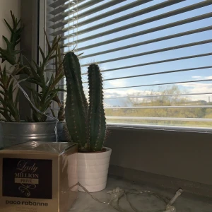 Lady million privé - Köpte fel variant och har endast provat den en gång! (Bevis på kvittot finns)