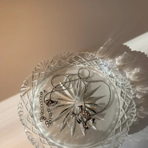 Halsband  - Döskalle med kristaller ✨