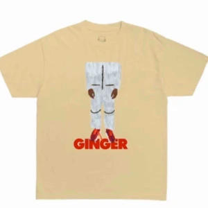  - Aldrig använd brockhampton merch från deras nya skiva ginger! Finns ej att köpa på deras officiella merchsida längre. Lite knölig pga får ej strykas men annars helt ny! Säljer pga för stor för mig. Originalpris: 650kr. Frakt ligger på 50kr!
