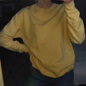 Sweatshirt - Mysig sweatshirt från Brandy Melville, onesize-storlek. Köparen står för frakt💗