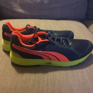  - Puma descendant. Endast använda ett par gånger