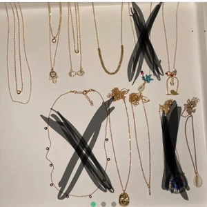 Halsband - De halsband som är kvar, alla för 100kr styckvis kostar det 20kr