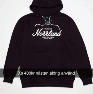 Hoodie - I ny skick!