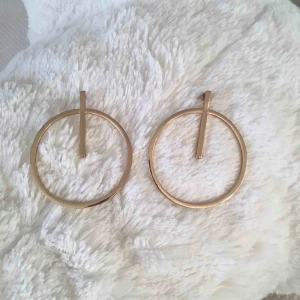  - Guldiga örhängen 