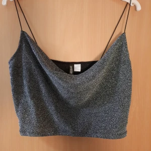H&M croptop strl L - Glittrig croptop från H&M i strl L, använd 1 nyår och har bara legat i min byrå. Kan mötas upp eller skicka, jag står INTE för frakten
