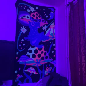 tygtavla - en asball tavla i tygmaterian som lyser och ändrat färg med ledlampor, ordpris 800kr 