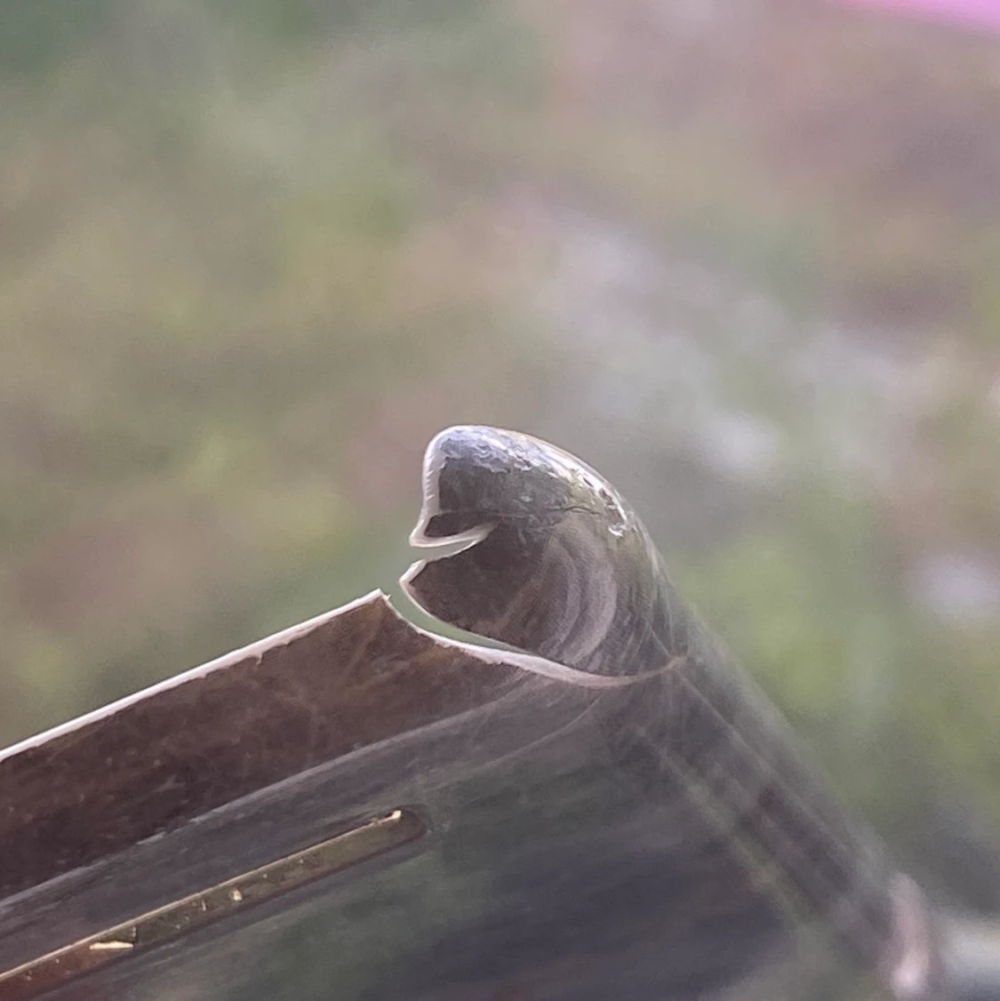 ideal of Sweden iPhone 7/8 - 91