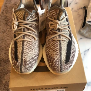 Adidas yeezy ZYON - DSWT Size US 9 