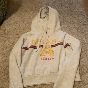 Hoodie  - Fint skick