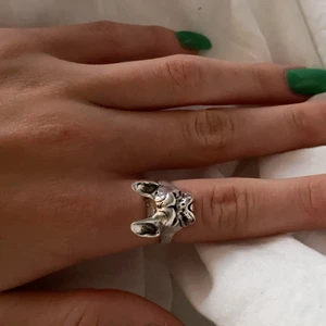 Sjukt fin ring - Jätte fin ring, aldrig använd, sjukt fin &trendig