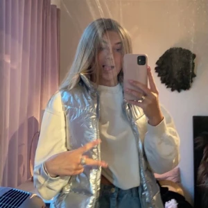 Silvrig Väst  - Säljer nu min fina väst från Zara då den aldrig kommer till användning! Köpt här på plick! Den är i bra skick och jag har bara använt den 1 gång! 🤍🦦