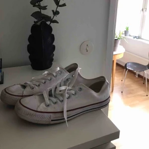  - Fina vita converse. Använt 1 gång